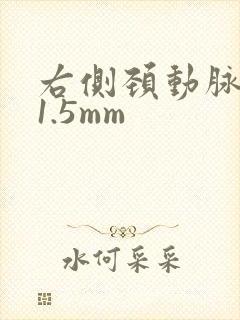 右侧颈动脉斑块1.5mm