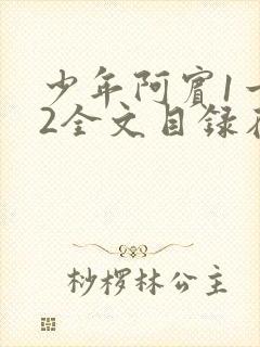 少年阿宾1一72全文目录在线