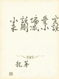 小说偏爱完整版未删减小说