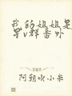 我的姐姐是大明星v群番外