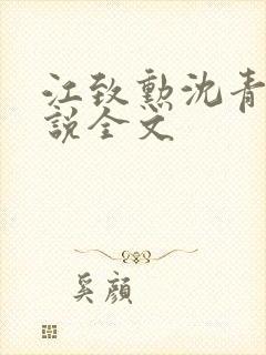 江致勋沈青青小说全文