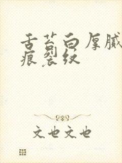 舌苔白厚腻有齿痕裂纹