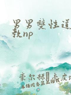 男男双性道具调教np