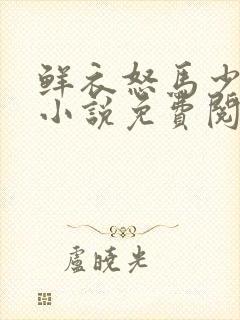 鲜衣怒马少年郎小说免费阅读