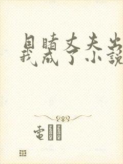 目睹丈夫出轨后我成了小说