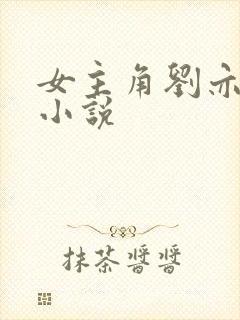 女主角刘亦菲的小说