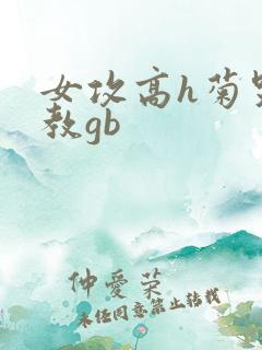 女攻高h菊哭调教gb