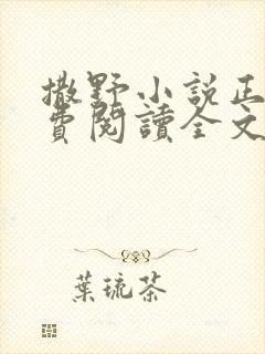 撒野小说正版免费阅读全文无删减