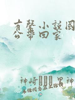 有声小说国民老公带回家