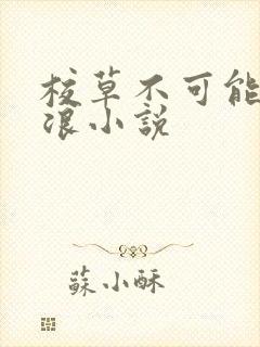校草不可能这么浪小说