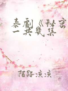 泰剧《秘密爱》一共几集