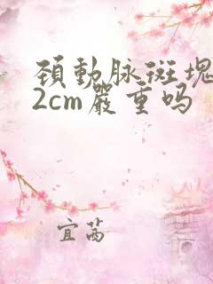 颈动脉斑块0.2cm严重吗