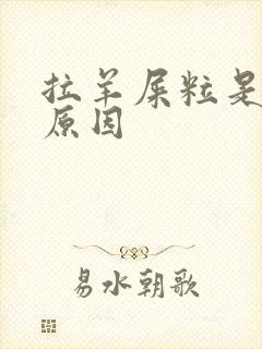 拉羊屎粒是什么原因