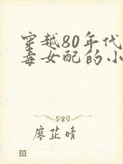 穿越80年代恶毒女配的小说