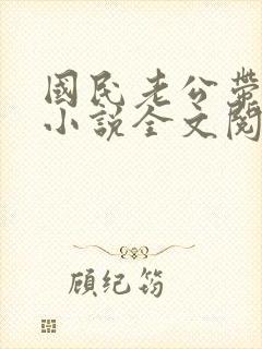 国民老公带回家小说全文阅读免费