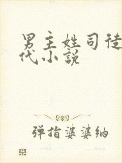 男主姓司徒的现代小说