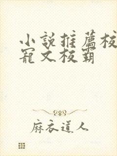 小说推荐校园甜宠文校霸