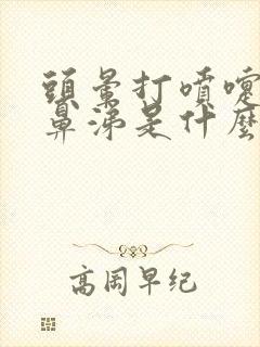 头晕打喷嚏流清鼻涕是什么原因