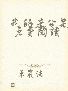 我的老公是大佬 免费阅读