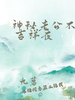 神秘老公不见面 吉祥夜