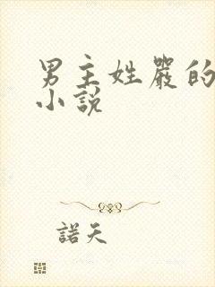 男主姓严的总裁小说