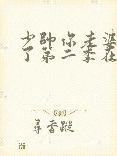 少帅你老婆又跑了第二季在线观看