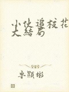 小伙追校花妈妈大结局