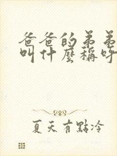 爸爸的弟弟老婆叫什么称呼