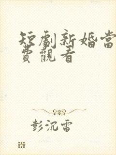 短剧新婚当日免费观看
