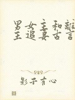 男女主和离后男主追妻古言