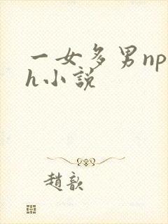 一女多男np高h小说