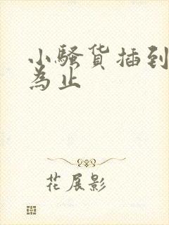 小骚货插到你爽为止