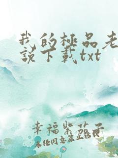 我的极品老婆小说下载txt