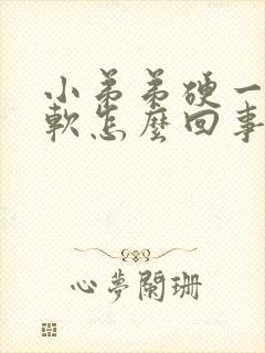 小弟弟硬一会就软怎么回事