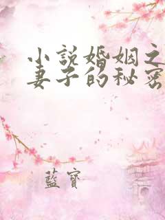 小说婚姻之殇:妻子的秘密免费阅读