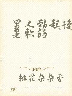 男人勃起后龟头是软的