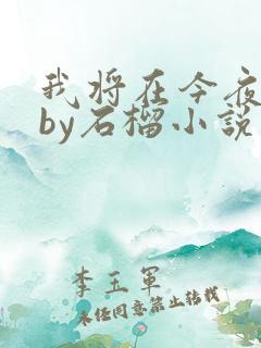 我将在今夜吻你by石榴小说在线阅读