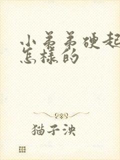 小弟弟硬起来是怎样的