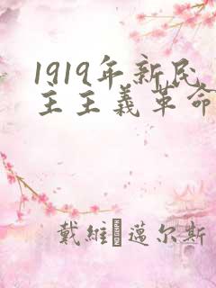 1919年新民主主义革命