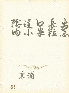 阴道口长出好多肉小米粒怎么回事