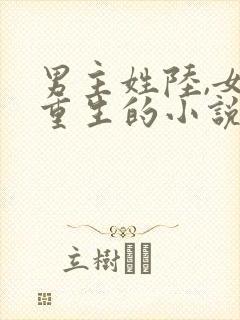 男主姓陆,女主重生的小说