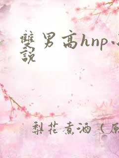 双男高hnp小说