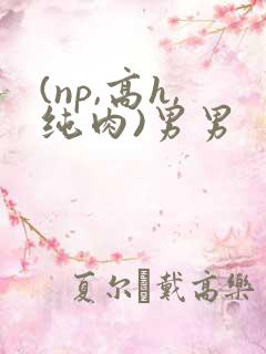 (np,高h,纯肉)男男