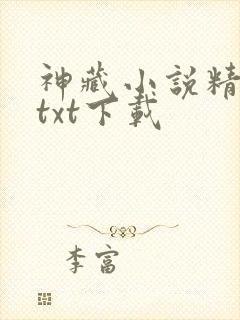 神藏小说精校版txt下载