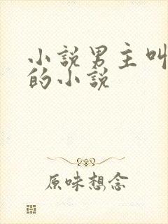 小说男主叫沈倦的小说