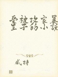 受被攻家暴囚禁生子的小说