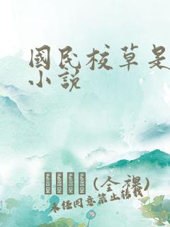 国民校草是女生小说