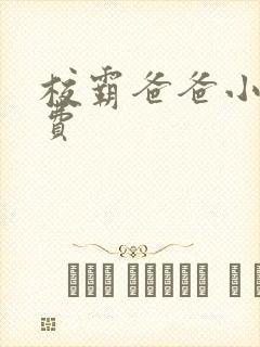 校霸爸爸小说免费