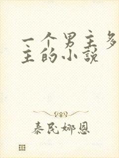 一个男主多个女主的小说