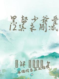 黑帮少爷爱上我12集未删减